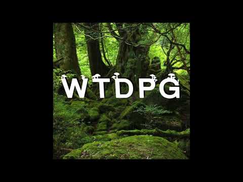 WTDPG - Nossa Realidade