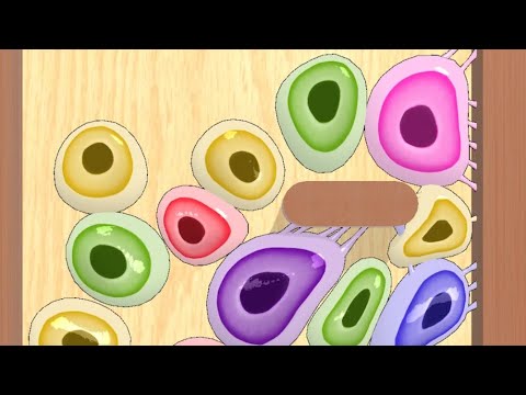 Satisfying and relaxing ASMR Mobile Games - Blob Merge 3D