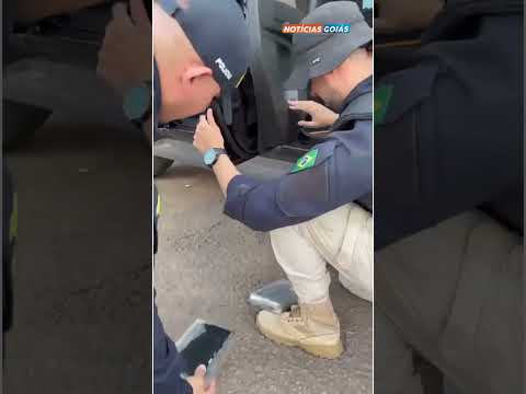 A Polícia Rodoviária Federal realizou uma apreensão durante fiscalização na BR-153, em Porangatu (GO