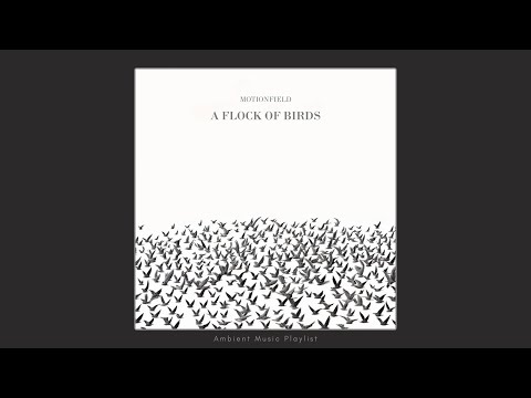 Motionfield - A Flock Of Birds (Full Album 2024) - Ambient Music