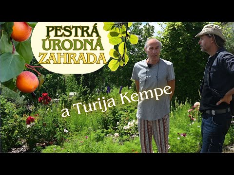 Přes 60% SOBĚSTAČNOSTI z vyladěné permakulturní zahrady - Turija Kempe nedaleko Brna