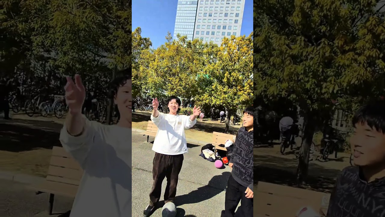 S’intéresser aux passions des japonais 🇯🇵