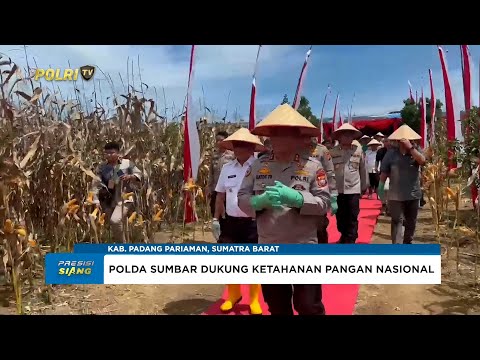 PANEN RAYA JAGUNG SERENTAK KUARTAL II POLDA SUMBAR