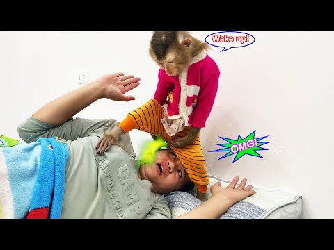 Lyly the monkey was very mischievous, waking her mother up in her own unique way.