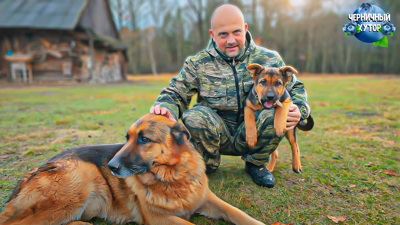 Жизнь на лесном хуторе. Новые идеи приходят, когда голова чиста. Труд и тихая осенняя охота