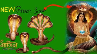 Download lagu Naagin all season Back side Snake in green screen | Naagin 7 | Snake green screen | #Naagin7  mp3