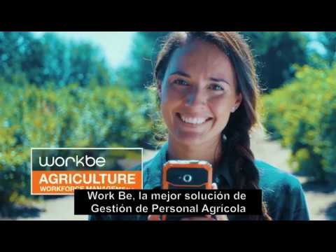 WorkBe ID