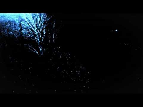 Playboi Carti x Madeintyo x Famous Dex type beat-(Prod. $pvcemvn Trip)