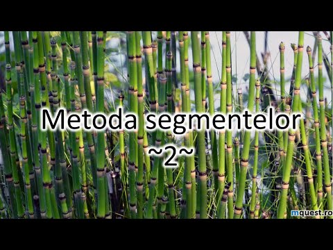Metoda segmentelor, lectia 2, clasa a IV-a