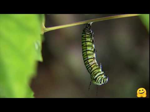 The beginning of development in the bosom of nature