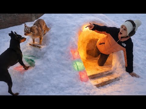 48 ore di costruzione di un enorme igloo per i miei cani