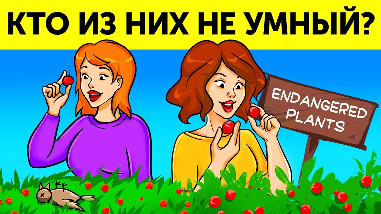 Головоломки (обложка Кто не так уж и умен)