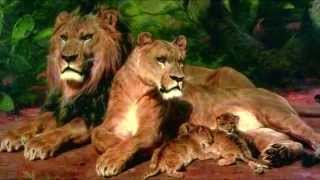 Meditation 03 - Beannacht (John O'Donohue)