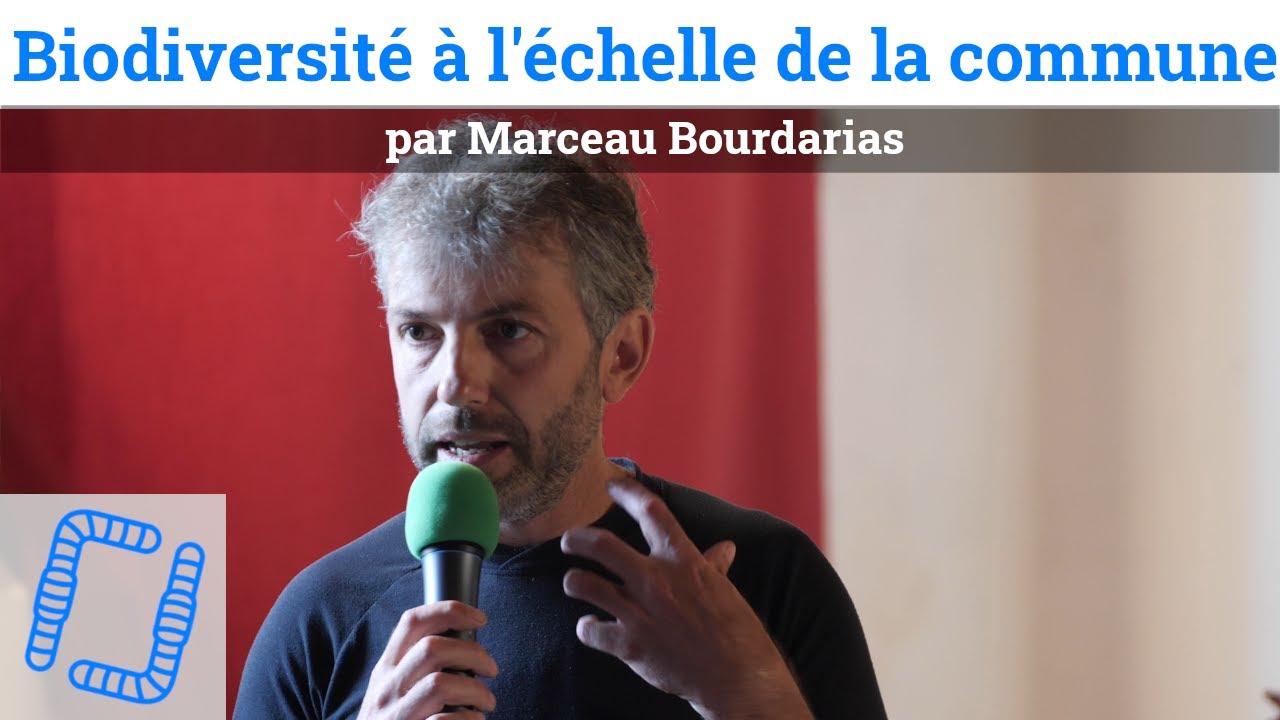 Biodiversité à l'échelle de la commune - Marceau Bourdarias - Paysage in Marciac 2020