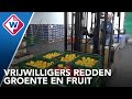 Groente en Fruitbrigade redt 3 miljoen kilo groente en fruit