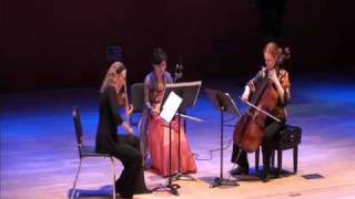 VASALLO - Collapsing Obsidian Sun (2009) for haegeum, violin, and cello