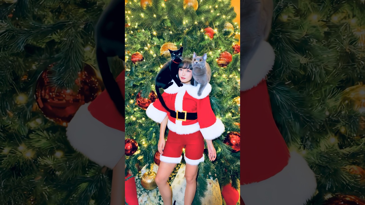 Christmas Magic🐈‍⬛🎄🪄