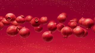 ミセスザクロ&保険 広告動画