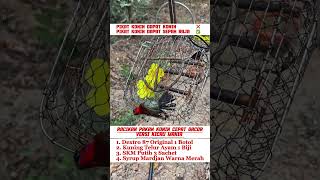 Download lagu pancingan suara burung sogok ontong #burung #mangkicauoffecial #kicauburunglovebird #kicaumania mp3
