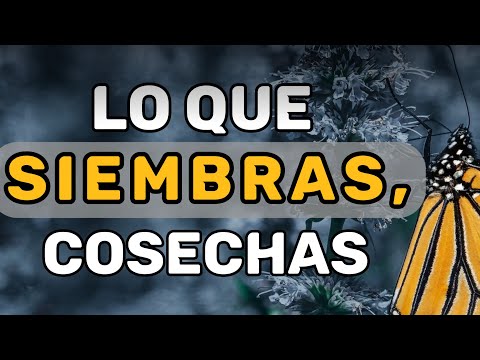 LO QUE Siembras  [ COSECHAS ]