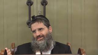 הרב אופיר טנג'י - אמונה בפרשה - פרשת כי תשא - איך אפשר לא לדאוג ??
