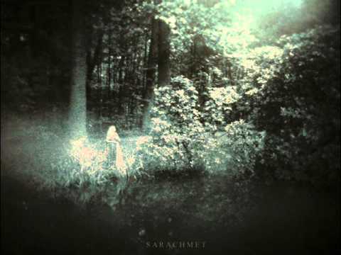 Meniscus - Infant