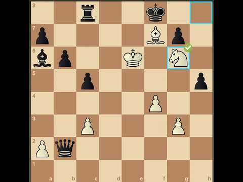 Daily chess puzzles # 2