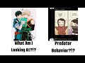 The Issues With The Anime Community