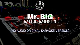 Download lagu MR. BIG - WILD WORLD (HQ AUDIO KARAOKE ORIGINAL VERSION) mp3