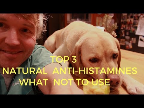 Top 3 Natural Antihistamines