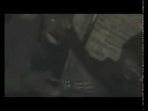 PYG BLACK GANG (Y.Size, Stigs, T.Snap) - Real Ryderz.