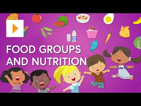 Food Groups And Nutrition