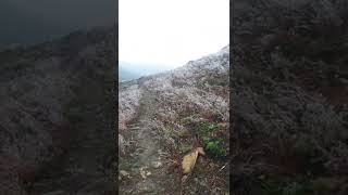 #shorts snow- băng tuyết ở h&agrave; giang | miền đ&aacute; lạnh