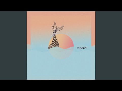 Lua Nova video
