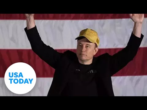 Billionaires Elon Musk and Mark Cuban turn out for Trump, Harris USA TODAY