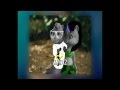 Flo Rida ft. Chipmunks & Chipettes - Club Can't ...