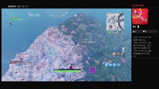 フォートナイト　参加あり