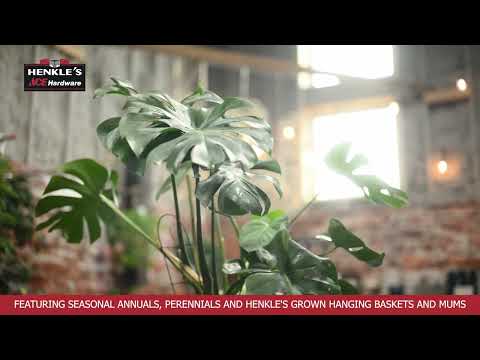 Your Neighborhood Hardware Store | Henkle’s Ace Hardware