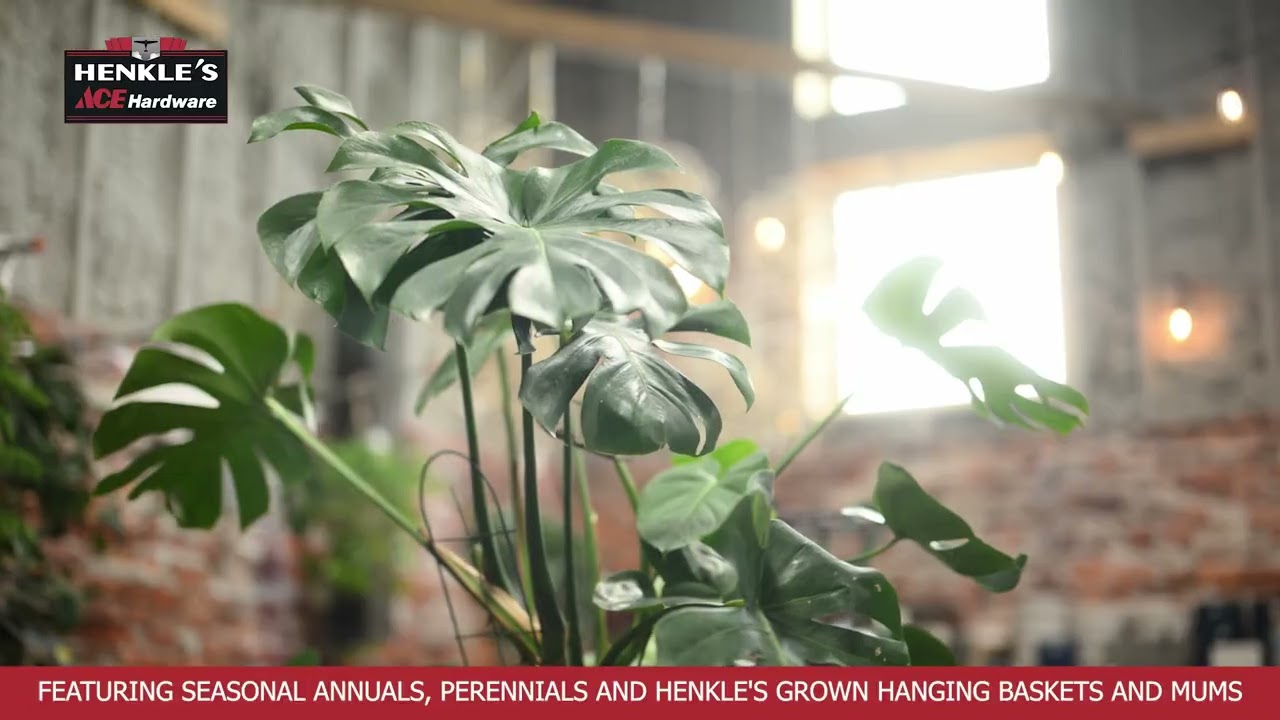 Your Neighborhood Hardware Store | Henkle’s Ace Hardware