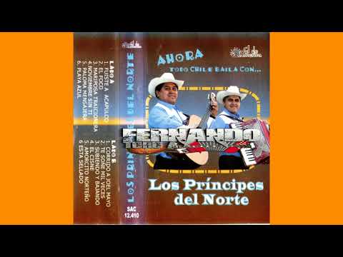 Los Principes Del Norte - Corrido a Joel Mayo