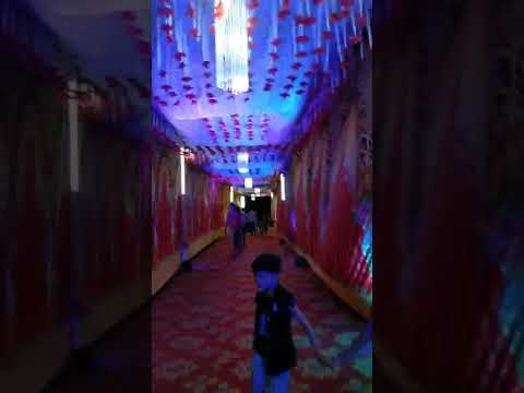 AS 🌺 Flowers 🌹🌹 marriage decoration by munib Alam  dharmabandh 6no. sonardih katras