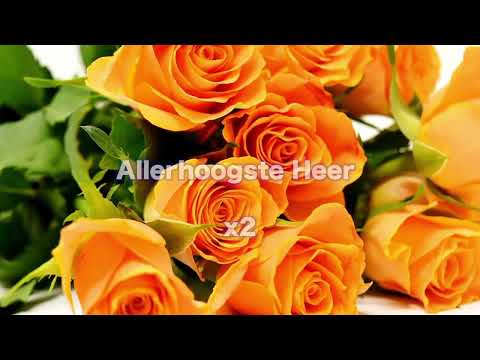 Opwekking 417 Heer, U draagt de hoogste kroon 1B