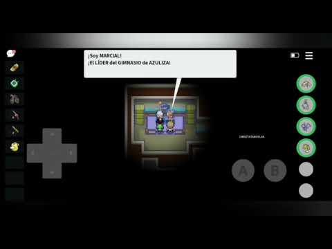 segunda medalla (LIDER MARCIAL)