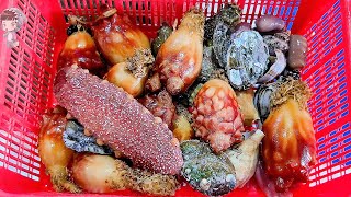 Assorted Seafood Sashimi Songdo Fish Market Pohang Korea 포항 송도 활어회센터 해물모듬회 020422