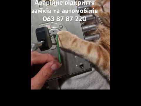 Аварійне відкриття замків у Києві для швидкого виїзду по місту - відеовідгук AngelLock