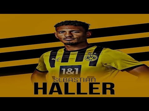 Sébastien Haller 2022 🟡⚫️ Welcome to Borussia Dortmund 🟡⚫️  Best Skills, Assists & Goals   HD