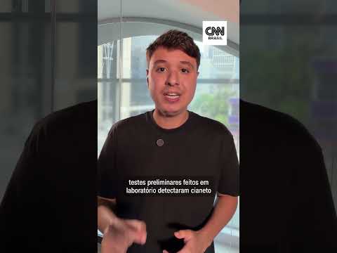 Suspeita de envenenamento: polícia do Quênia apura morte de elefantes