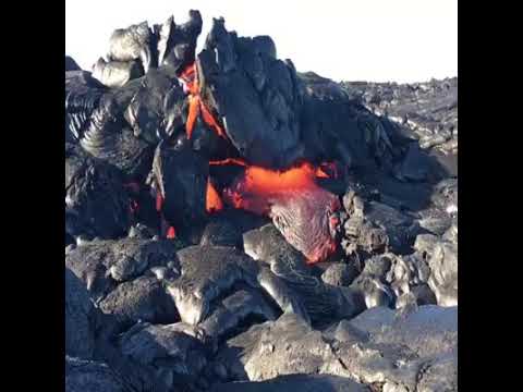 NIKHILESH NIK ROCK STAR