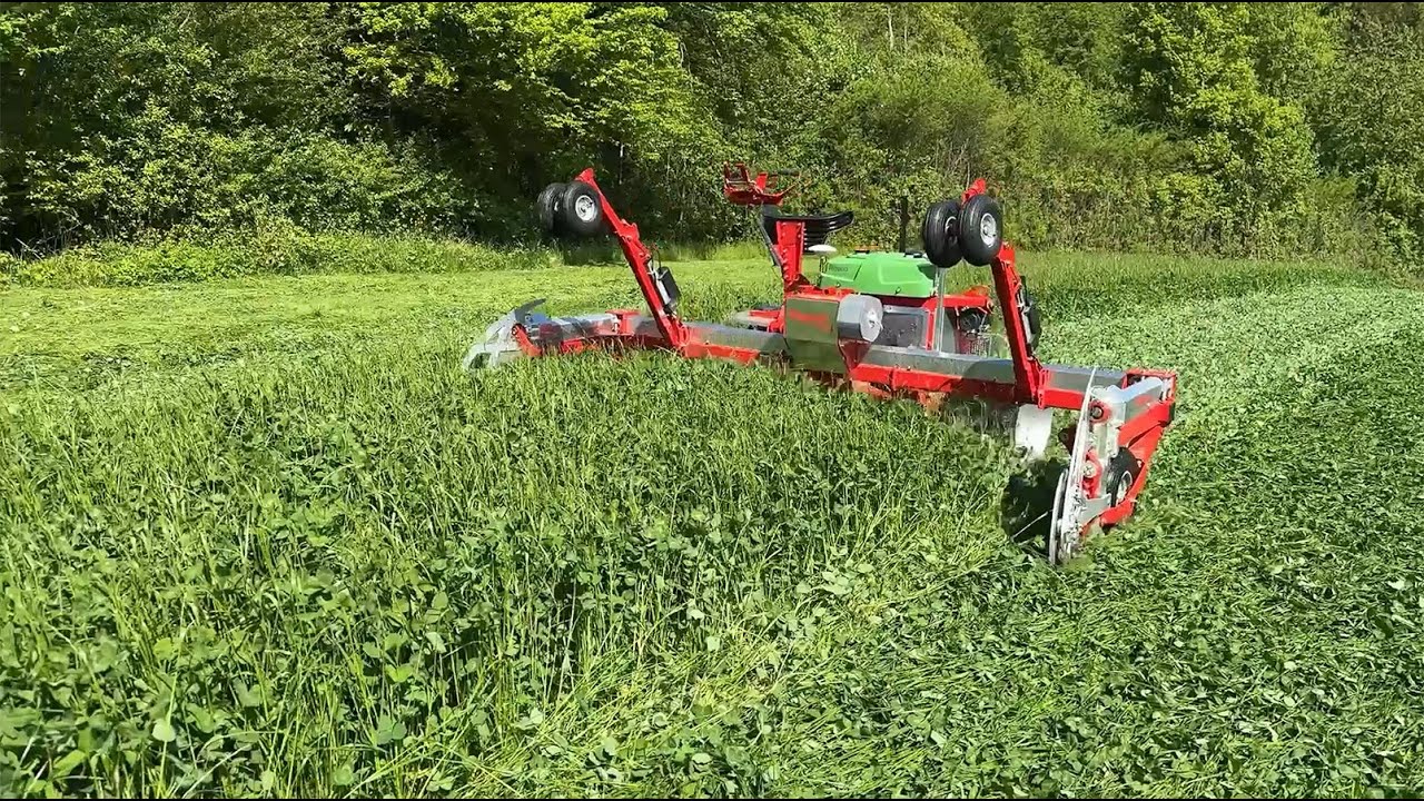 COSMOS - Ein weiterer Meilenstein