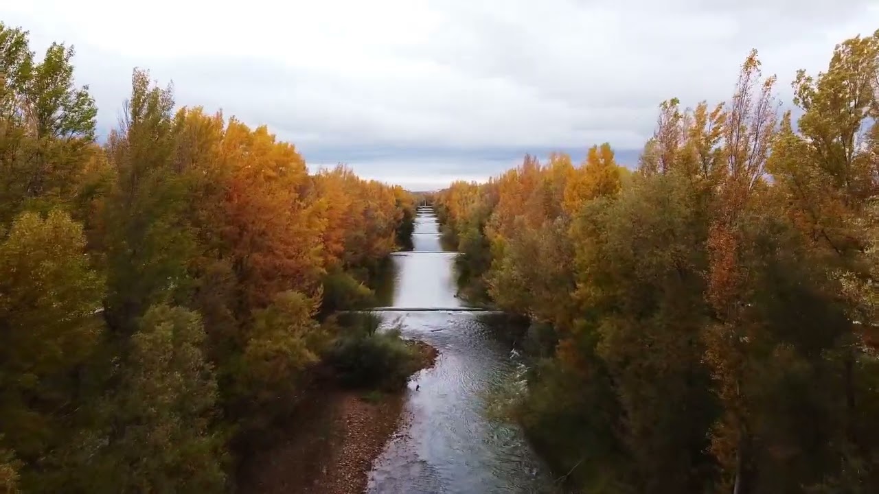 Relaxing Piano Music: Romantic Music, Beautiful Relaxing Music, Sleep Music, Stress Relief